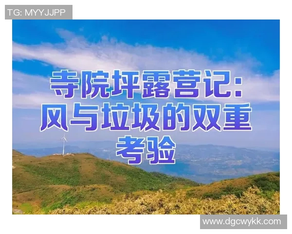 深圳攀岩队攻防分析:技术与策略的双重考验与反思