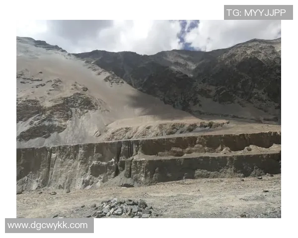 深度对话:探索黄娜在和平精英中的成长与挑战之路