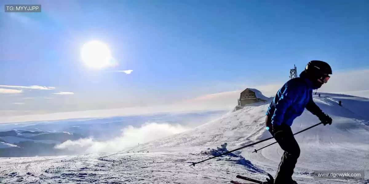 🚴 速度激情，赛道争锋！🏆